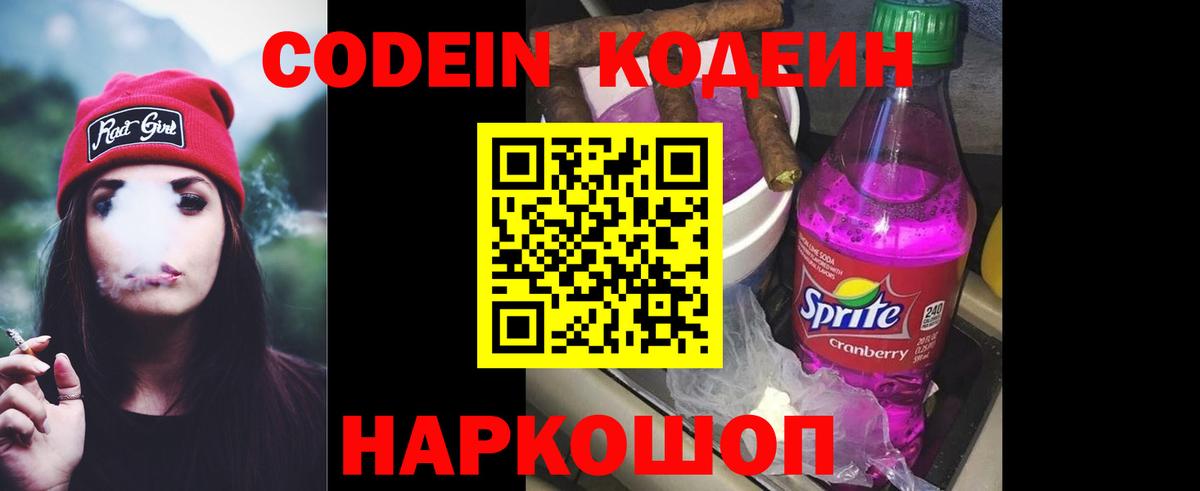 закладка  Codein Purple Drank  Кодеин Purple Drank  Вход с VPN  Заводоуковск 