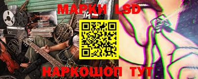 крисы Краснодар