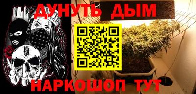 мяу мяу мука Краснознаменск
