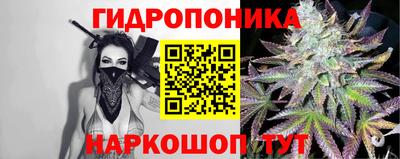 крисы Краснодар