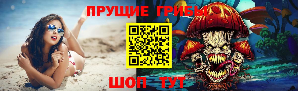 Заводоуковск  сколько стоит  Вход с VPN  Псилоцибиновые грибы мицелий 