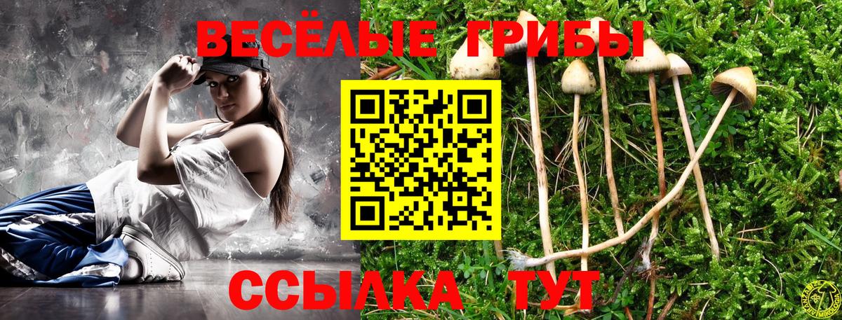 Галлюциногенные грибы MAGIC MUSHROOMS Заводоуковск
